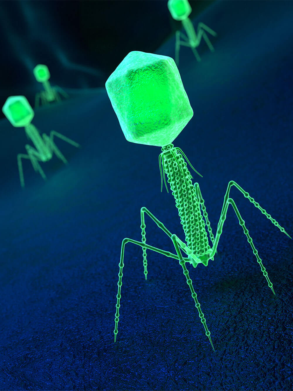 Just What is a Virus? Tomorrow's World