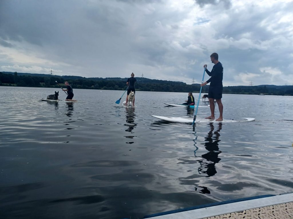 Kemnader See Stand Up Paddling mit unseren Vierbeinern Tom's Hundeschule