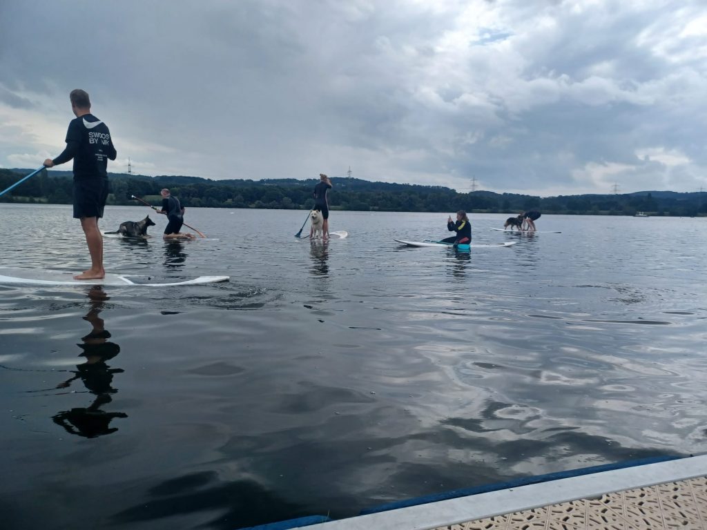 Kemnader See Stand Up Paddling mit unseren Vierbeinern Tom's Hundeschule