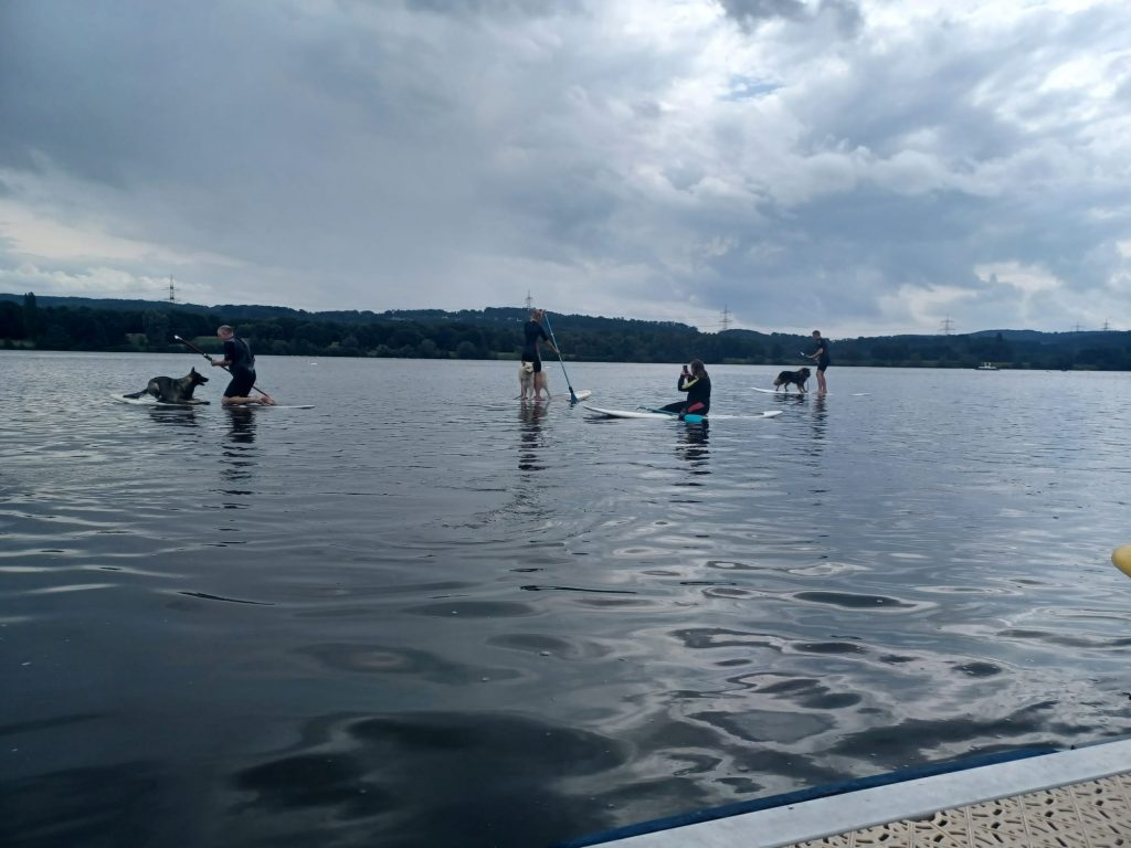 Kemnader See Stand Up Paddling mit unseren Vierbeinern Tom's Hundeschule