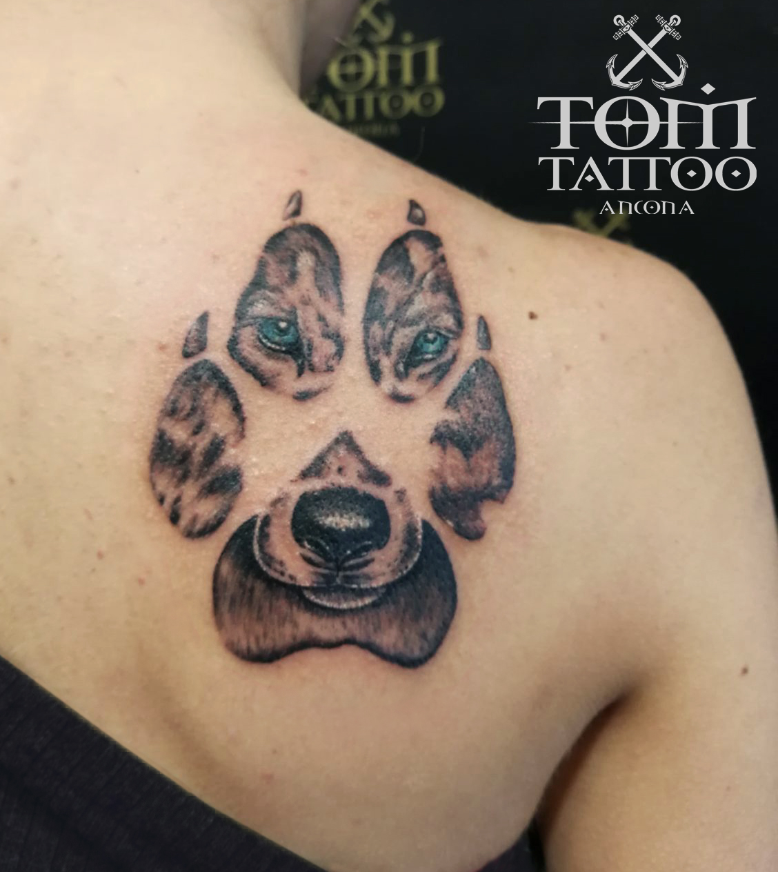 Zampa Lupa – Tom Tattoo 1264_x_1128_jpg