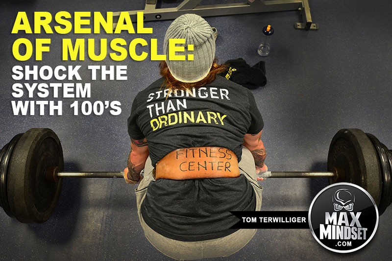 Arsenal of Muscle Shock The System With 100s Tom Terwilliger Body
