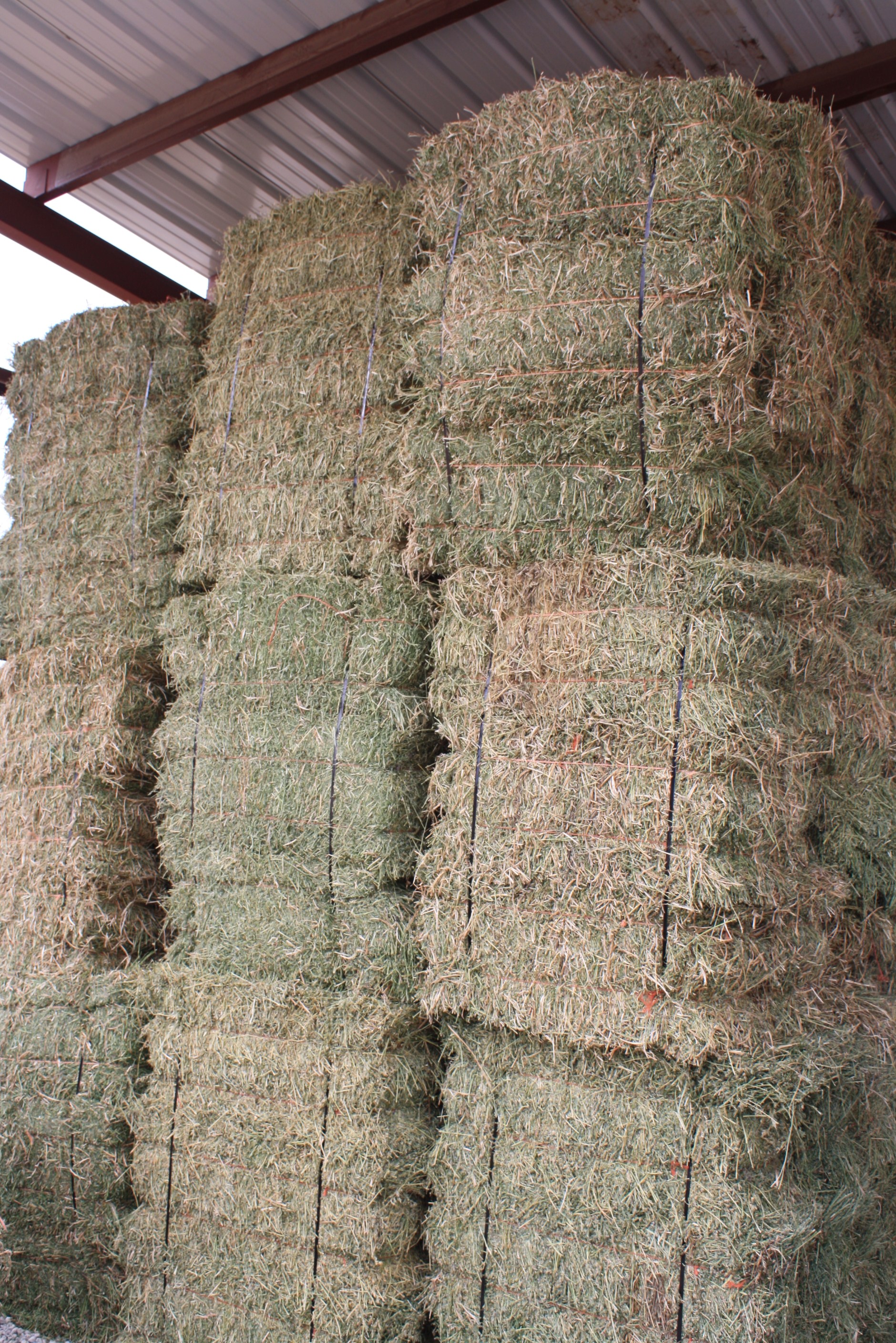 South Dakota Hay Prices at Mary Milton blog
