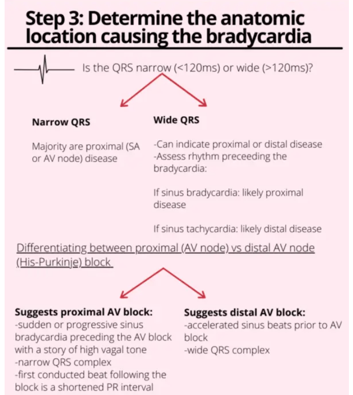 ← Cardiac Magnesium Protocol And Links To And Excerpts From Torsades de