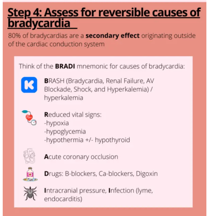 Links To And Excerpts From Ambiguous Genitalia From PedsCases With An Additional Resource →