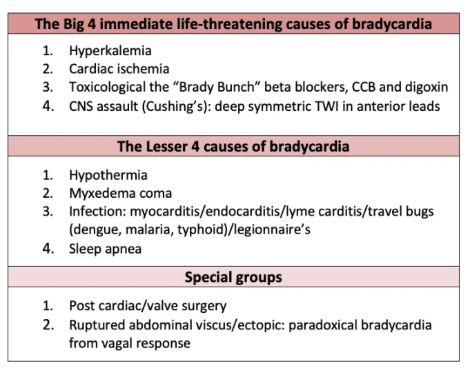 4step approach to bradycardia in the ED