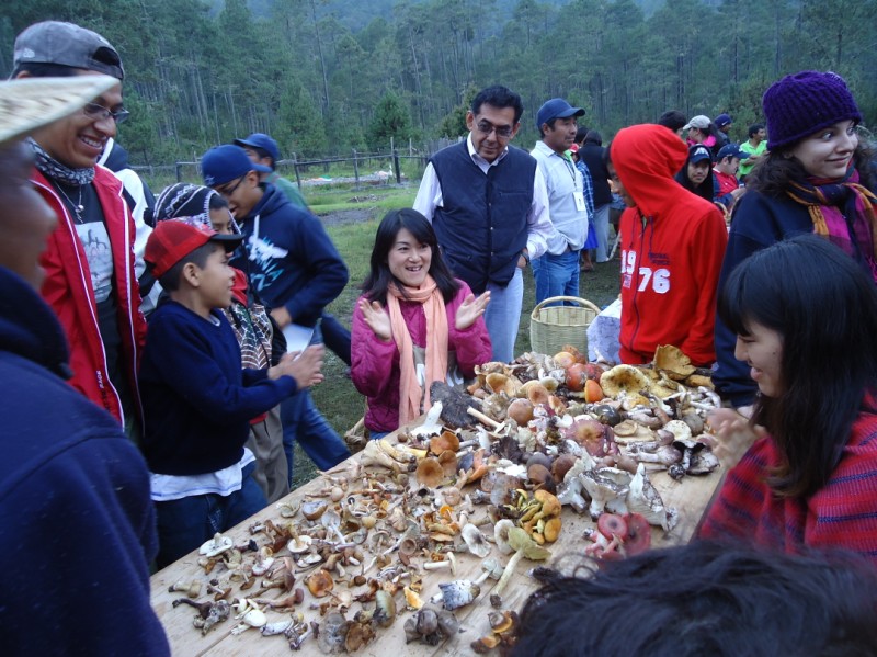 Mexico’s Magical Mushroom Tour at the Feria Regional de Hongos