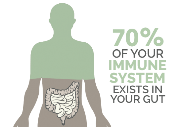 Ask a Doctor How Does CBD Affect the Immune System? TONIC CBD