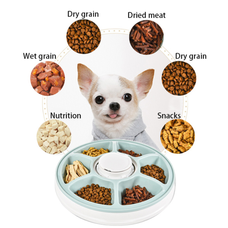 Introduction of Pet Feeders