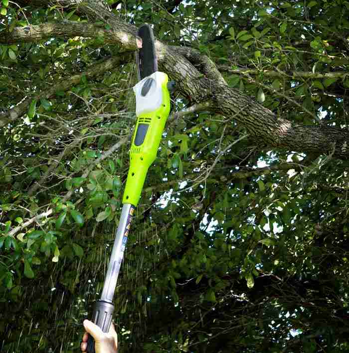 Best Pole Saws 2021 Reviews + Buying Guide