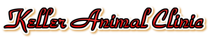 Veterinarians ToothAcres Petcare Center
