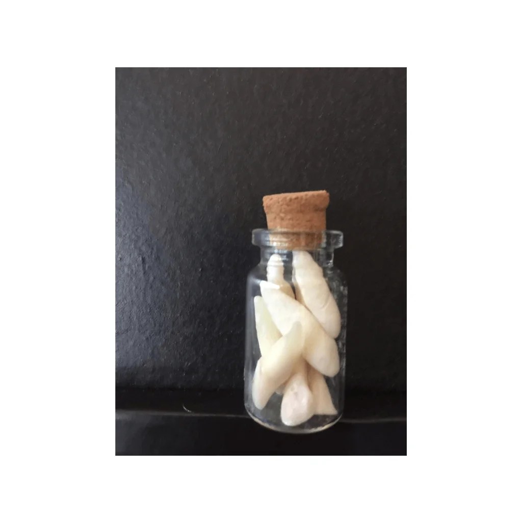 Antique Glass Vial Bottle With Cork Top With 8 Real Human Anterior