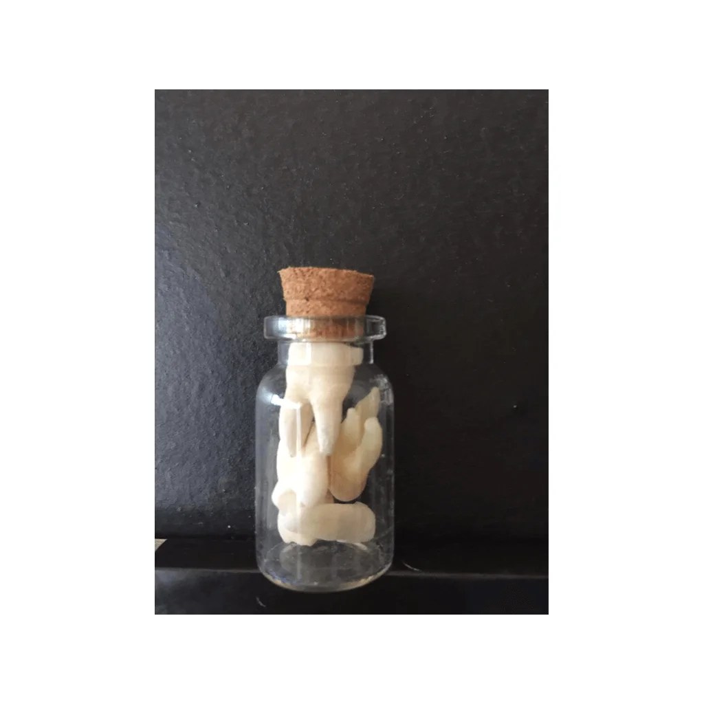 ANTIQUE GLASS VIAL BOTTLE WITH CORK TOP WITH REAL HUMAN POSTERIOR TEETH