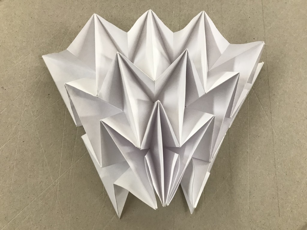 The art of paper folding, pleating and manipulation / toothpicnations