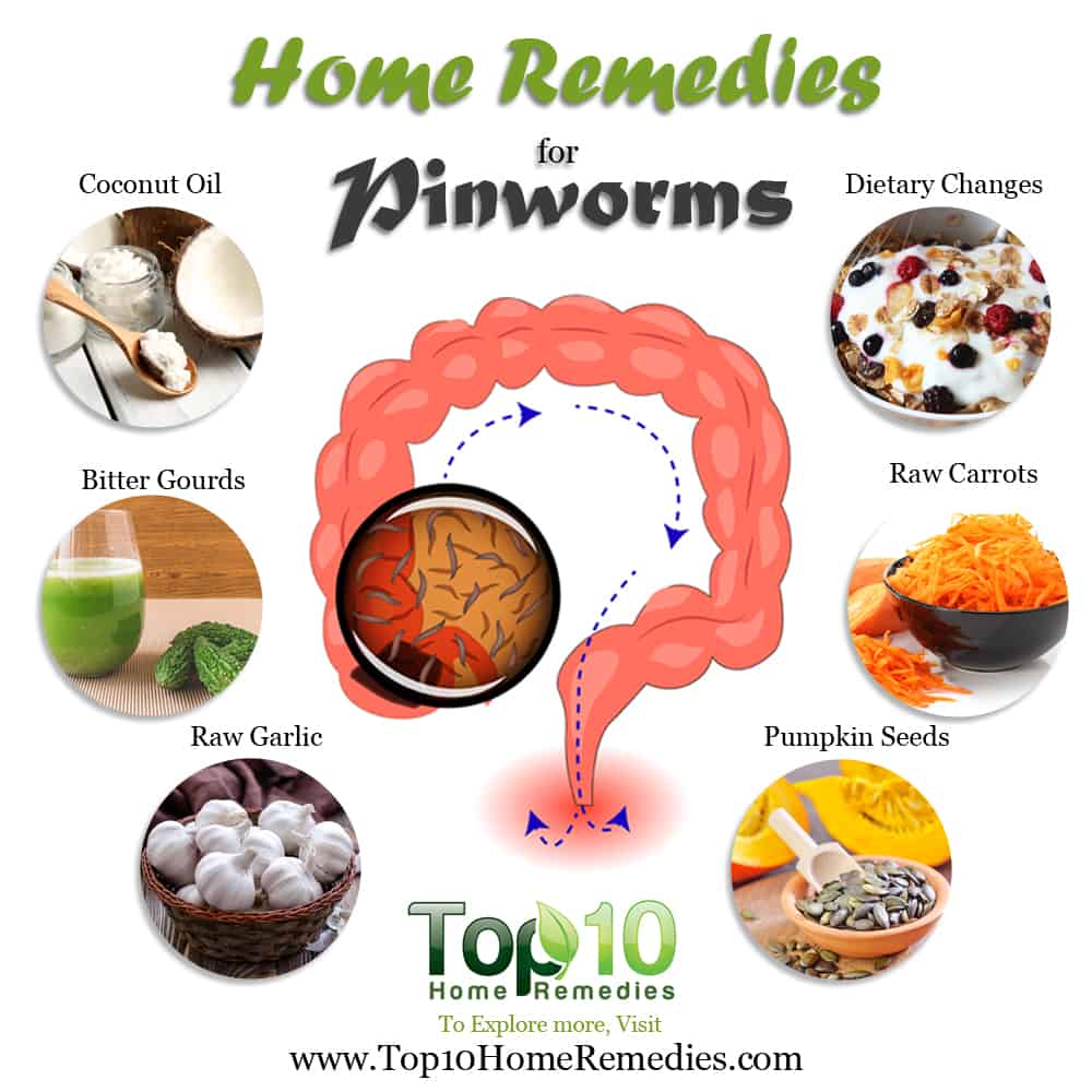 Home Remedies for Pinworms Top 10 Home Remedies