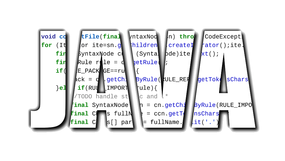 Learning Casting in Java Top Bug Net