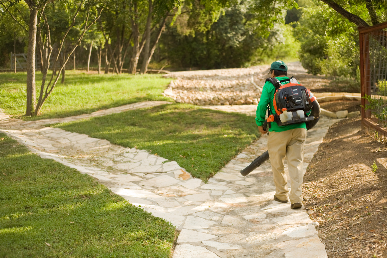 Leaf CleanUp The Best in Austin Top Choice Lawn Care