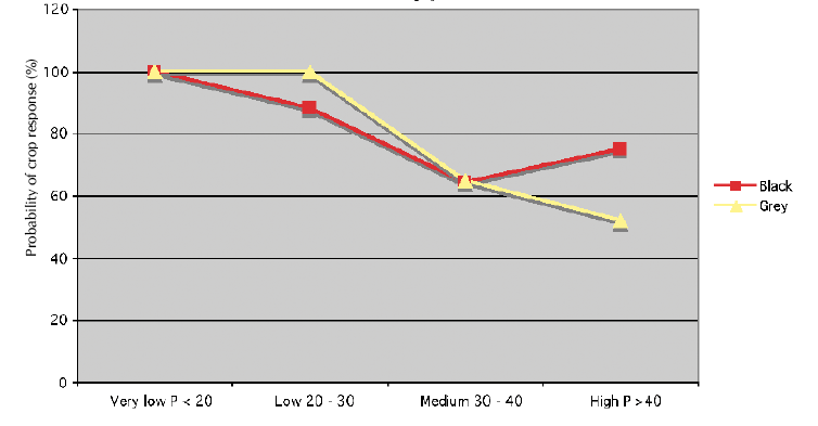 How much phosphate does canola need? Top Crop Manager