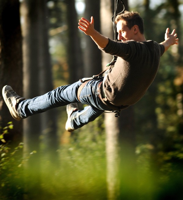 Go Ape; Promo Codes, Deals, Offers Topdogdays