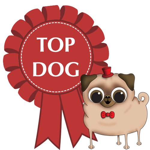 Top Dog Turf provide maintenance & cleaning services for artificial grass