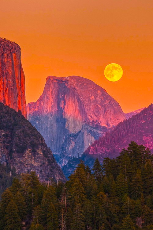 25 Photos of Nature That will not Leave you Indifferent