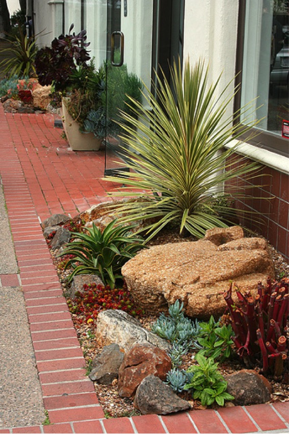 Review Of Succulent Rock Garden Photos References Ideas