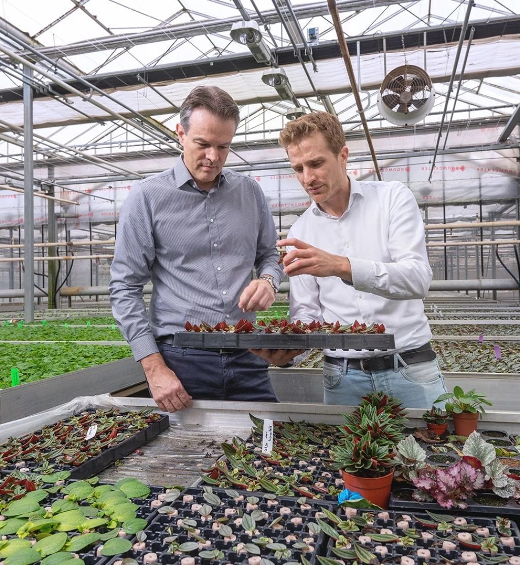 The world needs Moorefoam, not more foam topdutch