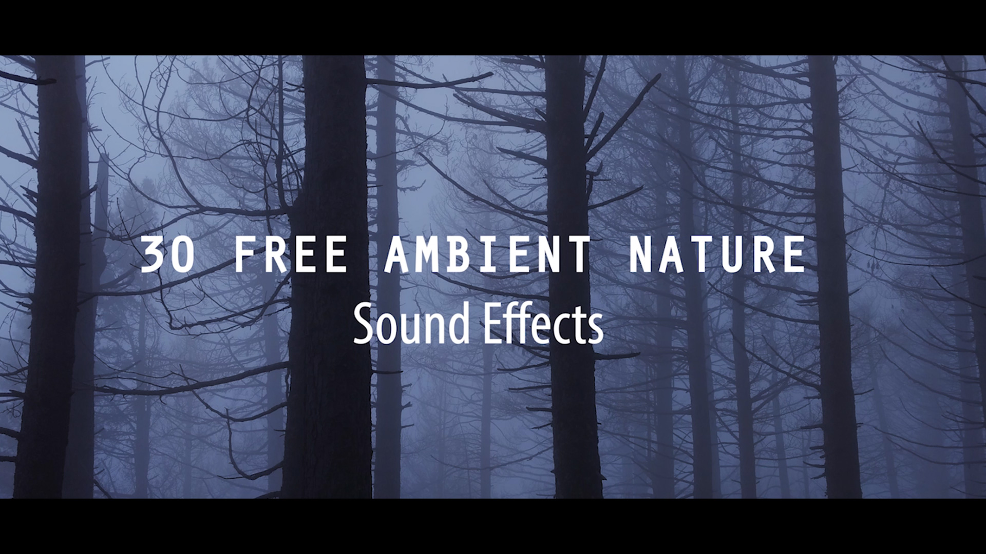 Download 30 FREE Ambient Nature Sounds Effect