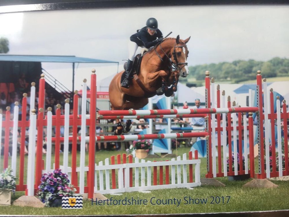 Vigaro 238 Top Horses, LLC