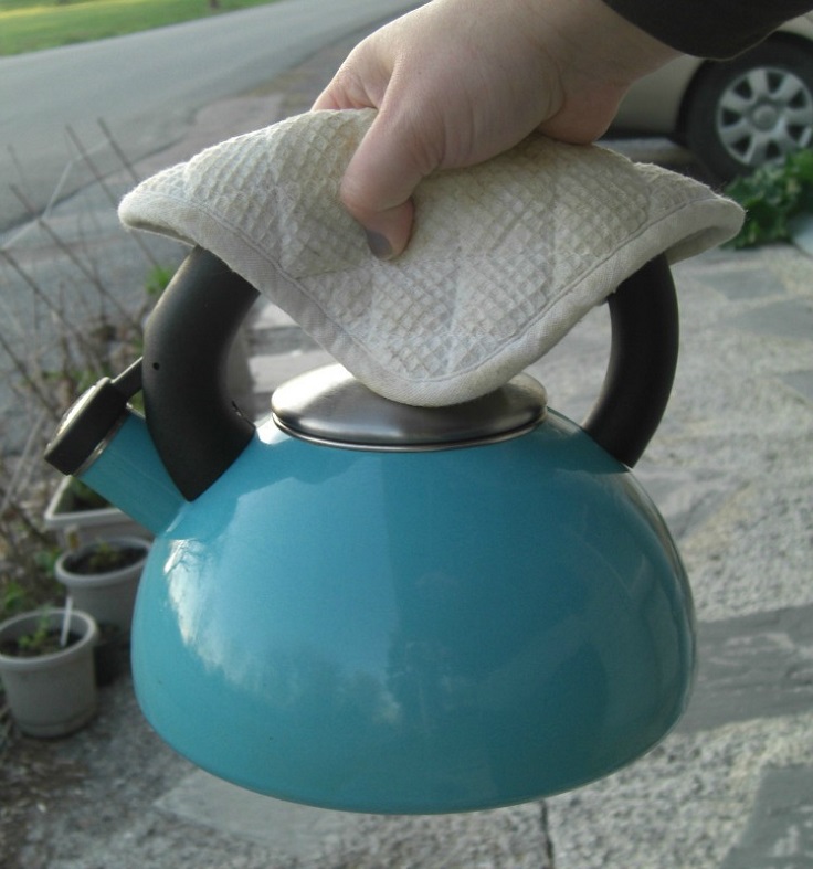 Top 10 Organic Homemade Weed Killers Top Inspired