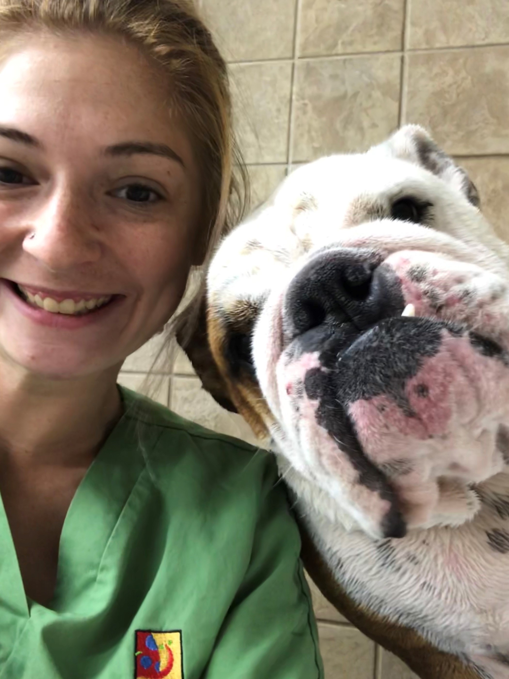 Meeting Top Notch Kennels