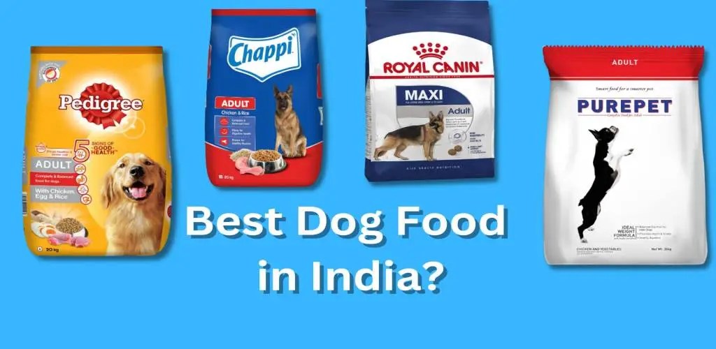 The 10 Best Dog Food in India (August 2023) Need to Try Right Now!