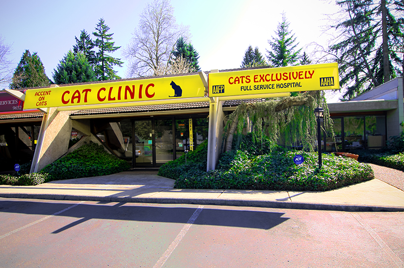 6 Top Rated Veterinarians In Beaverton, Oregon Best Reviewed Experts