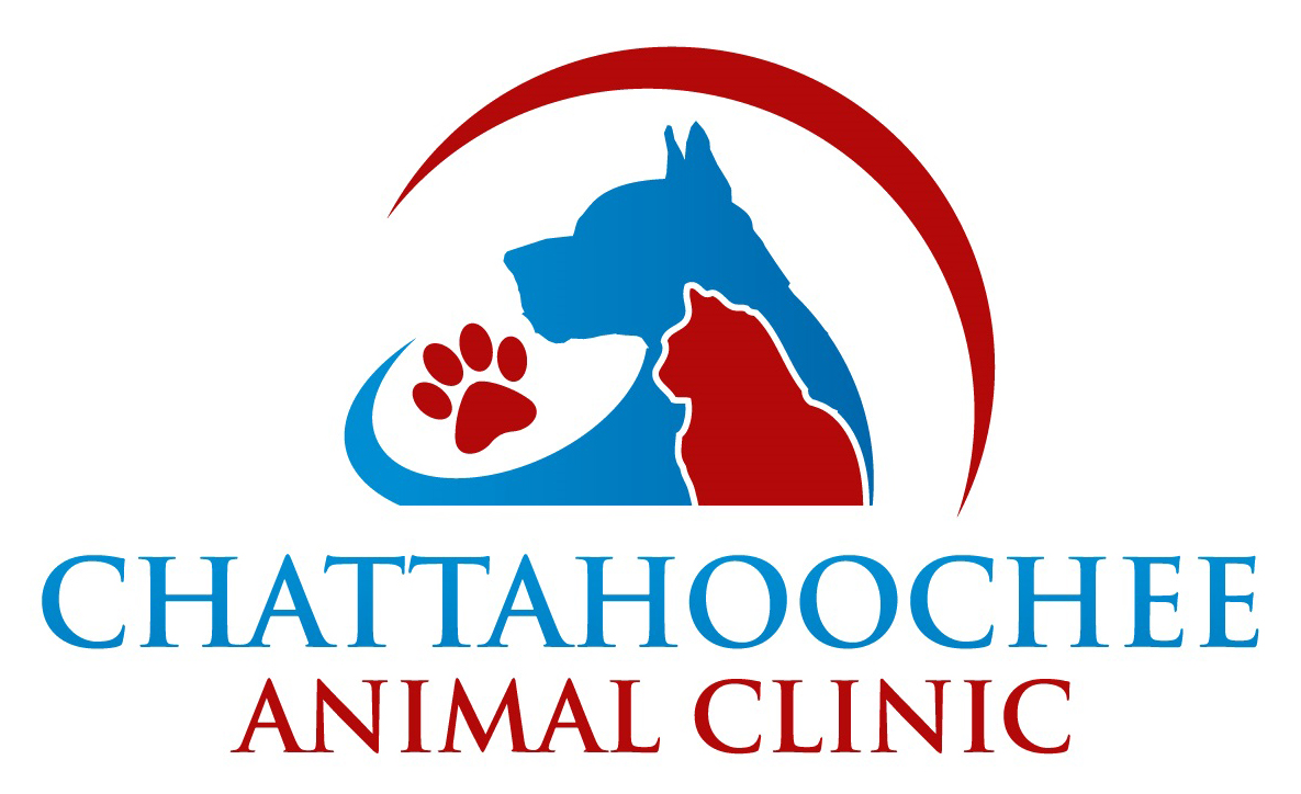 6 Top Rated Veterinarians In Roswell, Best Reviewed Experts