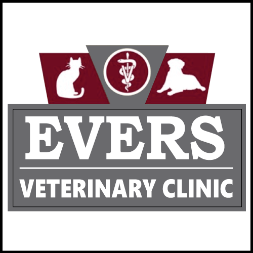 6 Top Rated Veterinarians In Chico, California Best Reviewed Experts