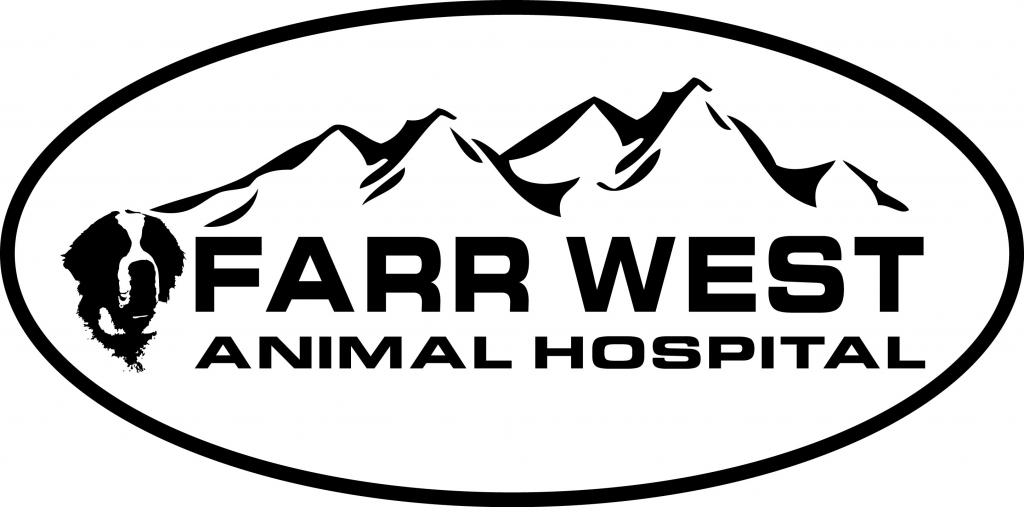 6 Top Rated Veterinarians In Ogden, Utah Best Reviewed