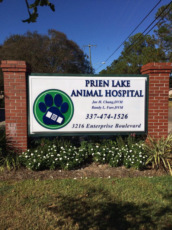 6 Top Rated Veterinarians In Lake Charles, Louisiana Best Reviewed