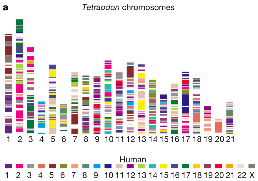 The Human Genome Project Mysteries and Discoveries Uncovered Top