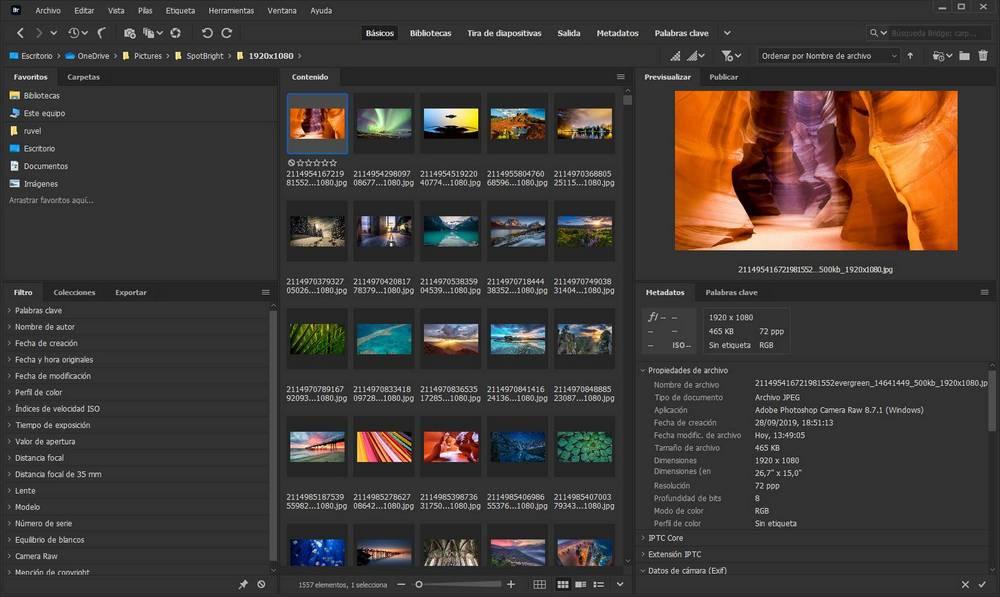 TOP 15 Best Photo Management Software in 2022