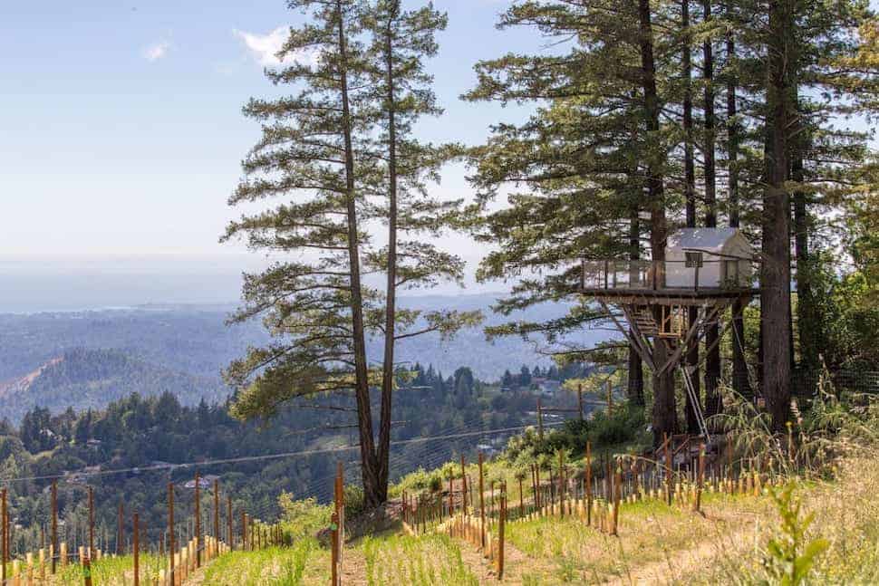 9 Best San Francisco Treehouse Rentals in California 2024 Top Treehouses