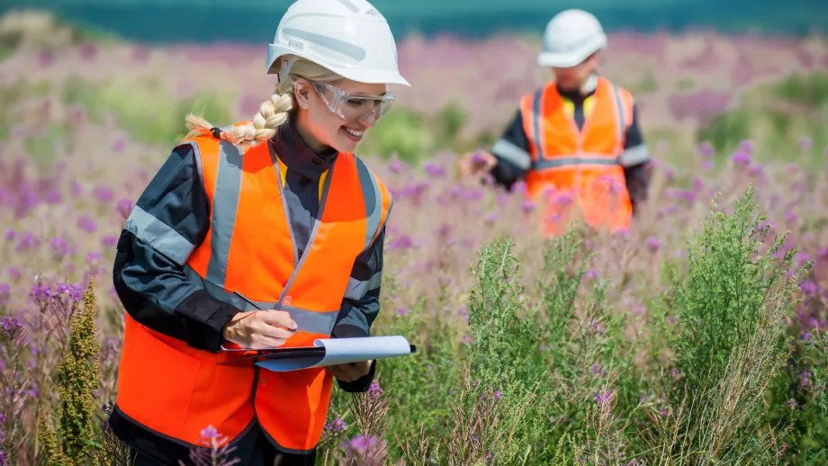 What can I do with an environmental science degree? Top Universities