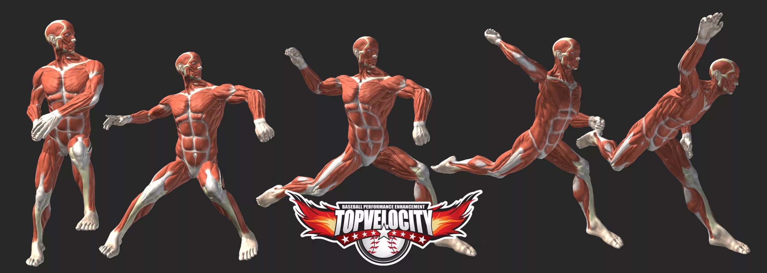 How to Improve Pitching Mechanics TopVelocity