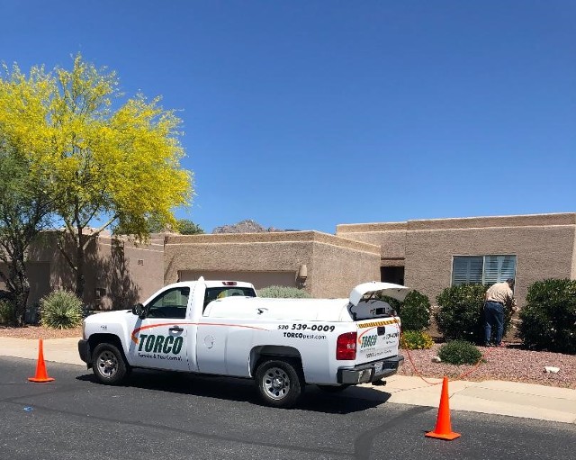 TORCO Termite and Pest Control in Dove Mountain TORCO Termite and