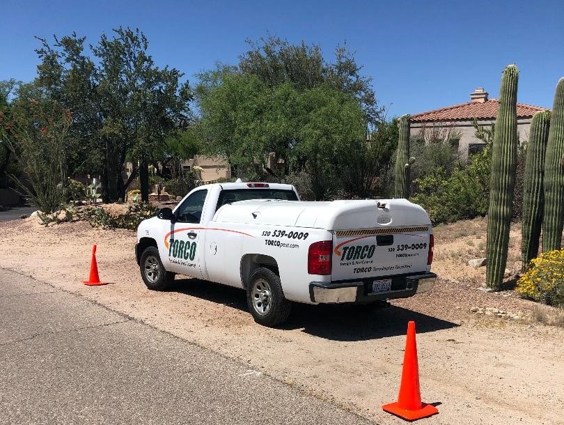 TORCO Termite and Pest Control in Dove Mountain TORCO Termite and