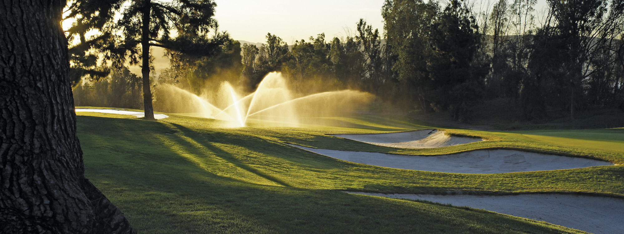 The Origin and Evolution of the Toro® Lynx® Central Control System