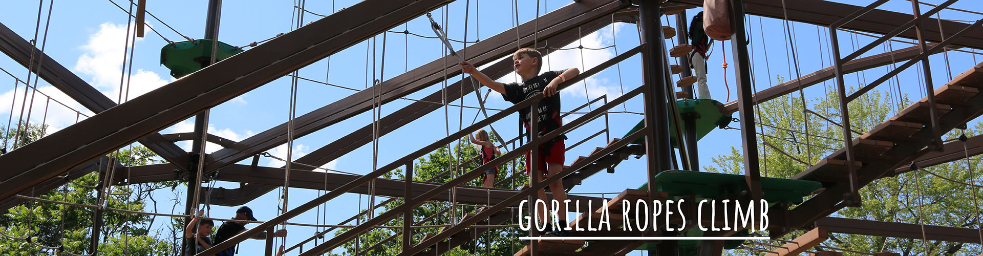 Toronto Zoo Gorilla Climb Ropes Coarse