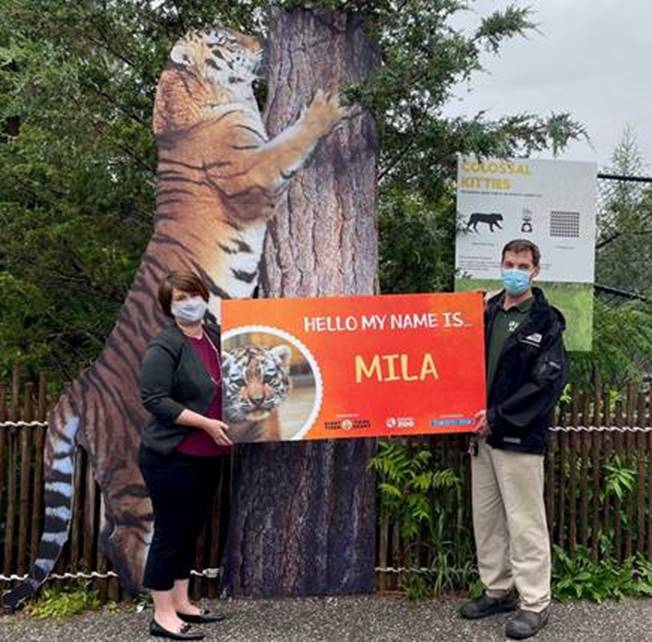 Toronto Zoo Press Releases