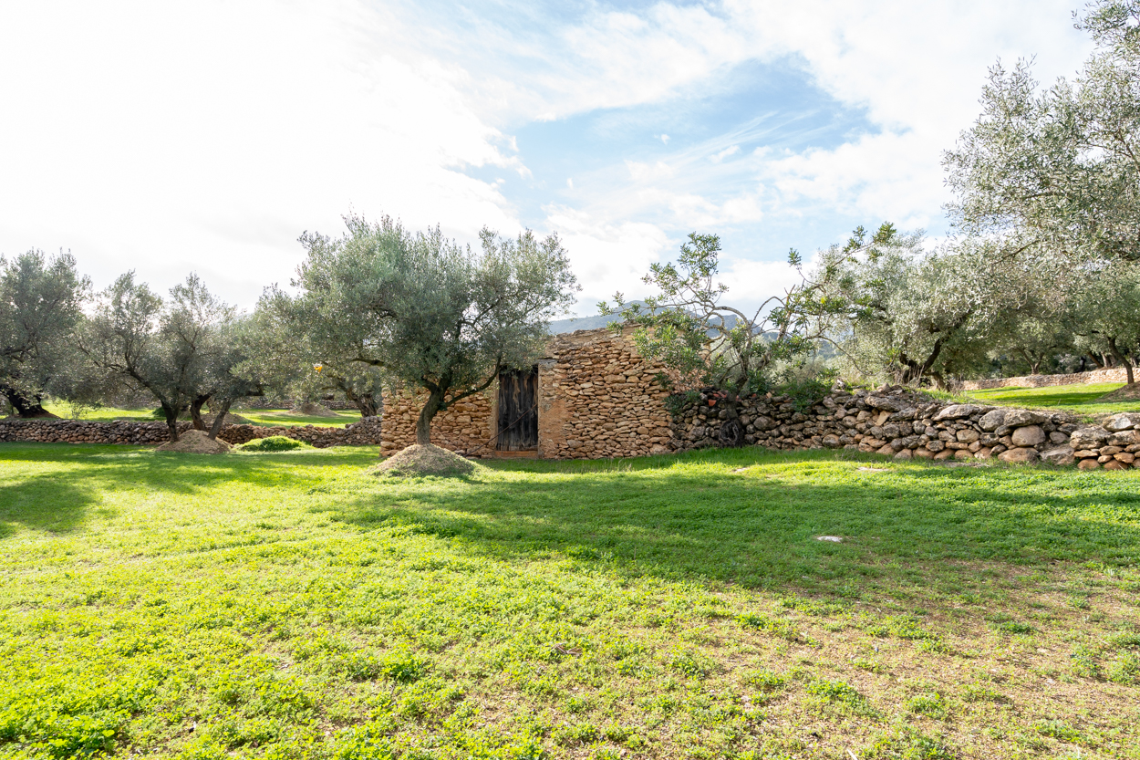 Beautiful flat piece of land (475) Tortosa Properties