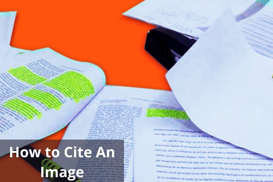 How to Cite an Image APA, MLA , and Chicago styles Total Assignment Help