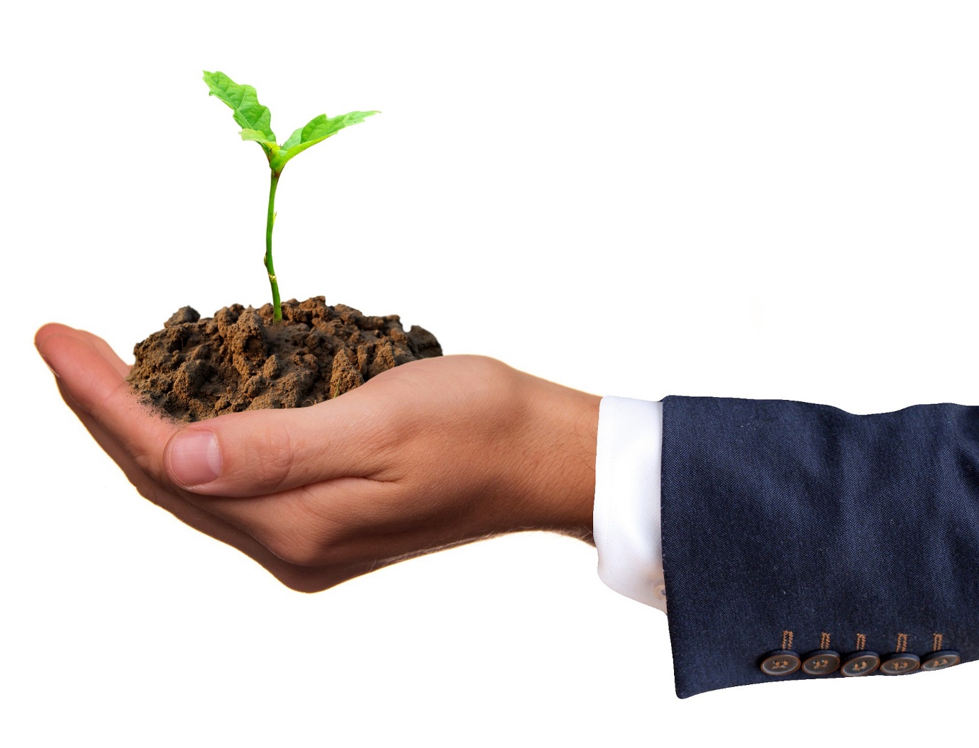 Evident Traits Of Naturalistic Intelligence Total Assignment Help